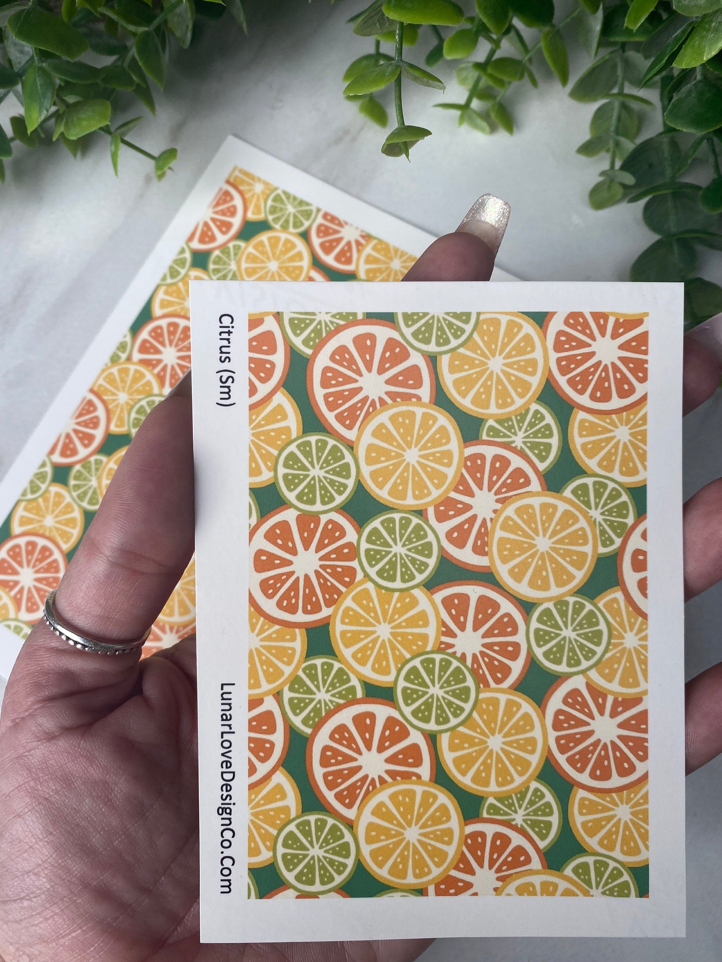 Citrus - Clay Tattoo Sheet