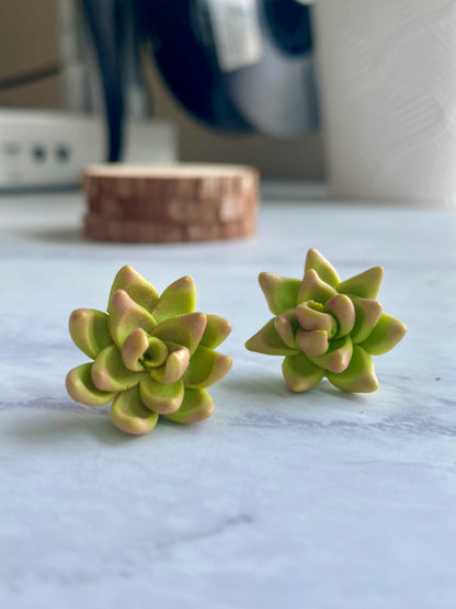 Handmade Succulent Stud Earrings - Lightweight Polymer Clay Creations