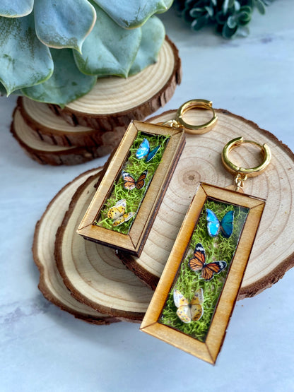 Butterfly Wooden Frame Earrings - Taxidermy Inspired