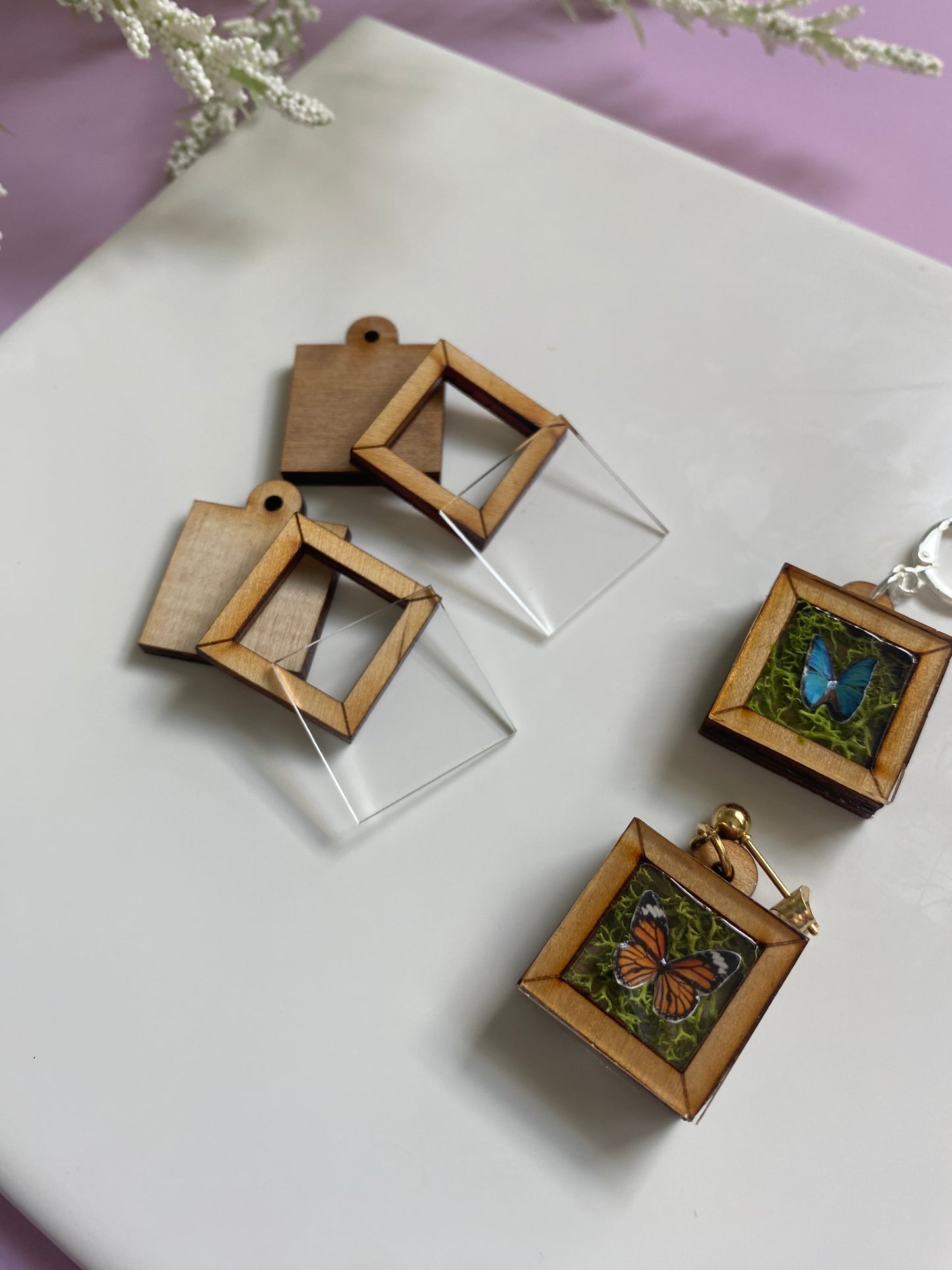 Mini Taxidermy Frame - Wooden Blank