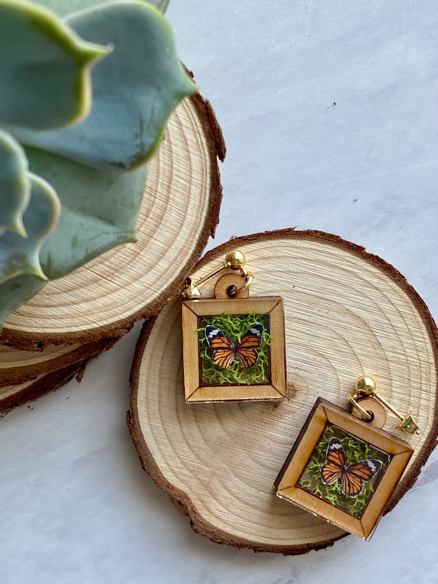 Monarch Butterfly Wooden Frame Earrings - Taxidermy Inspired