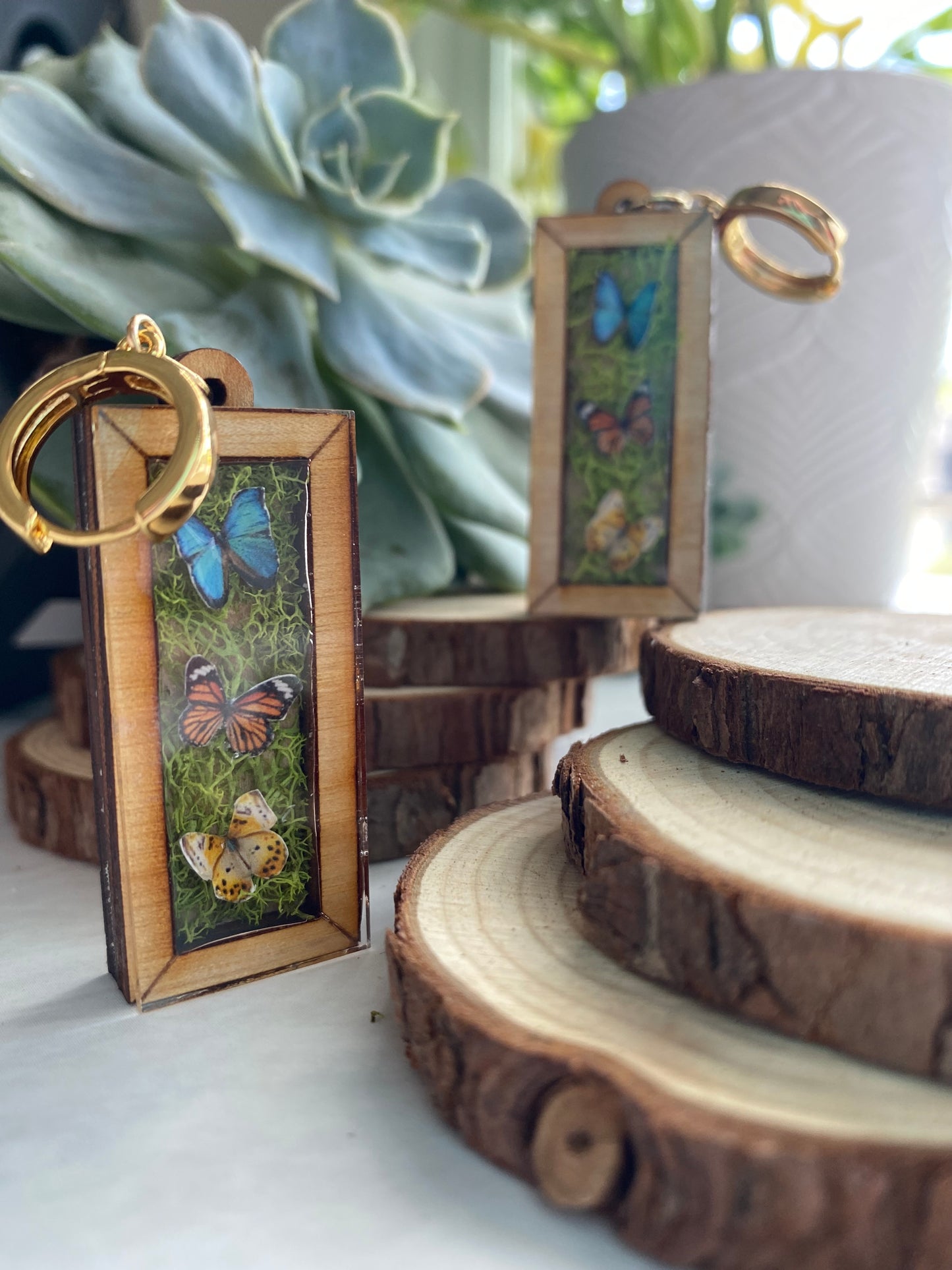 Butterfly Wooden Frame Earrings - Taxidermy Inspired