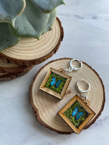 Blue Butterfly Wooden Frame Earrings - Taxidermy Inspired