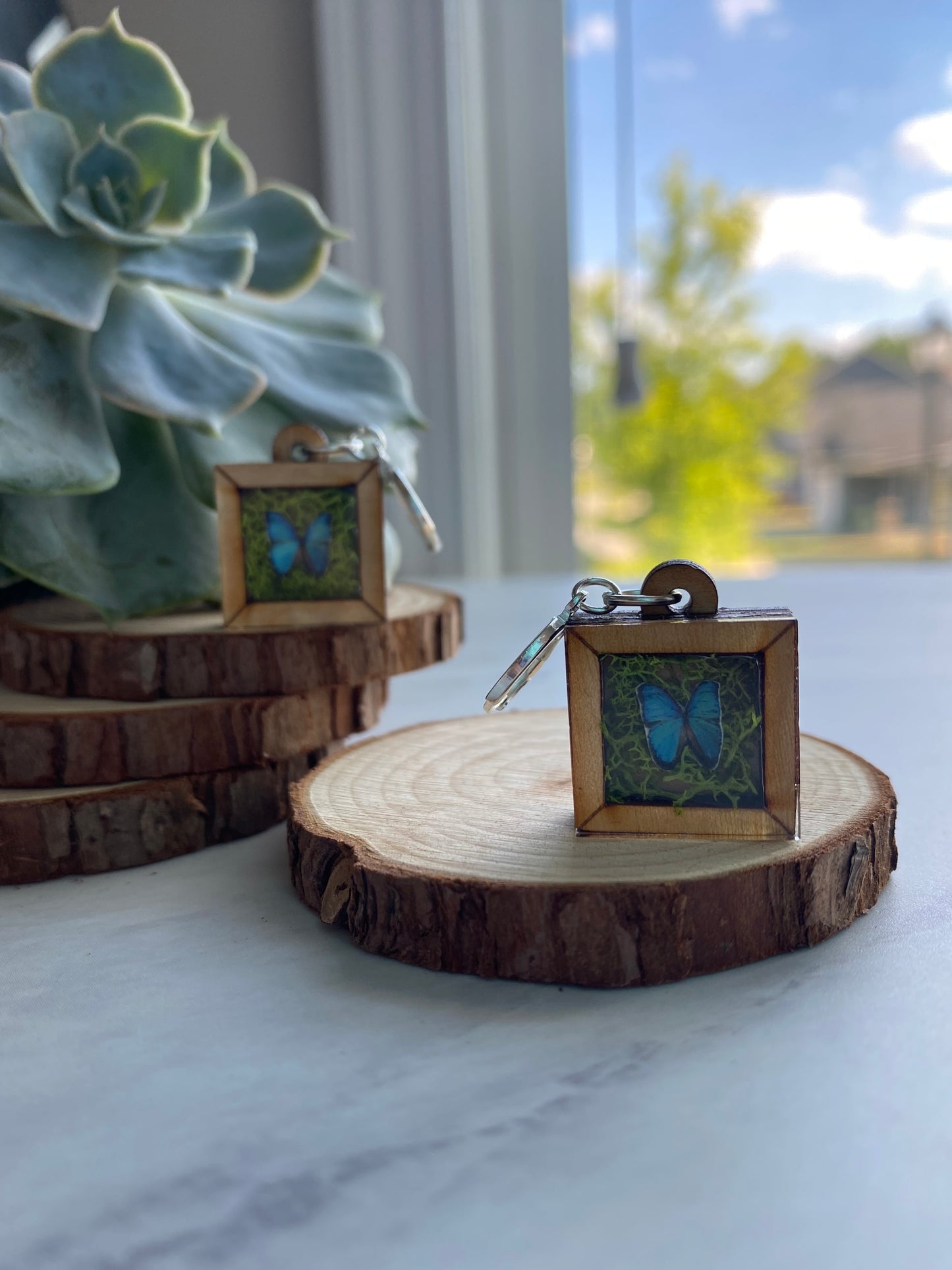 Blue Butterfly Wooden Frame Earrings - Taxidermy Inspired