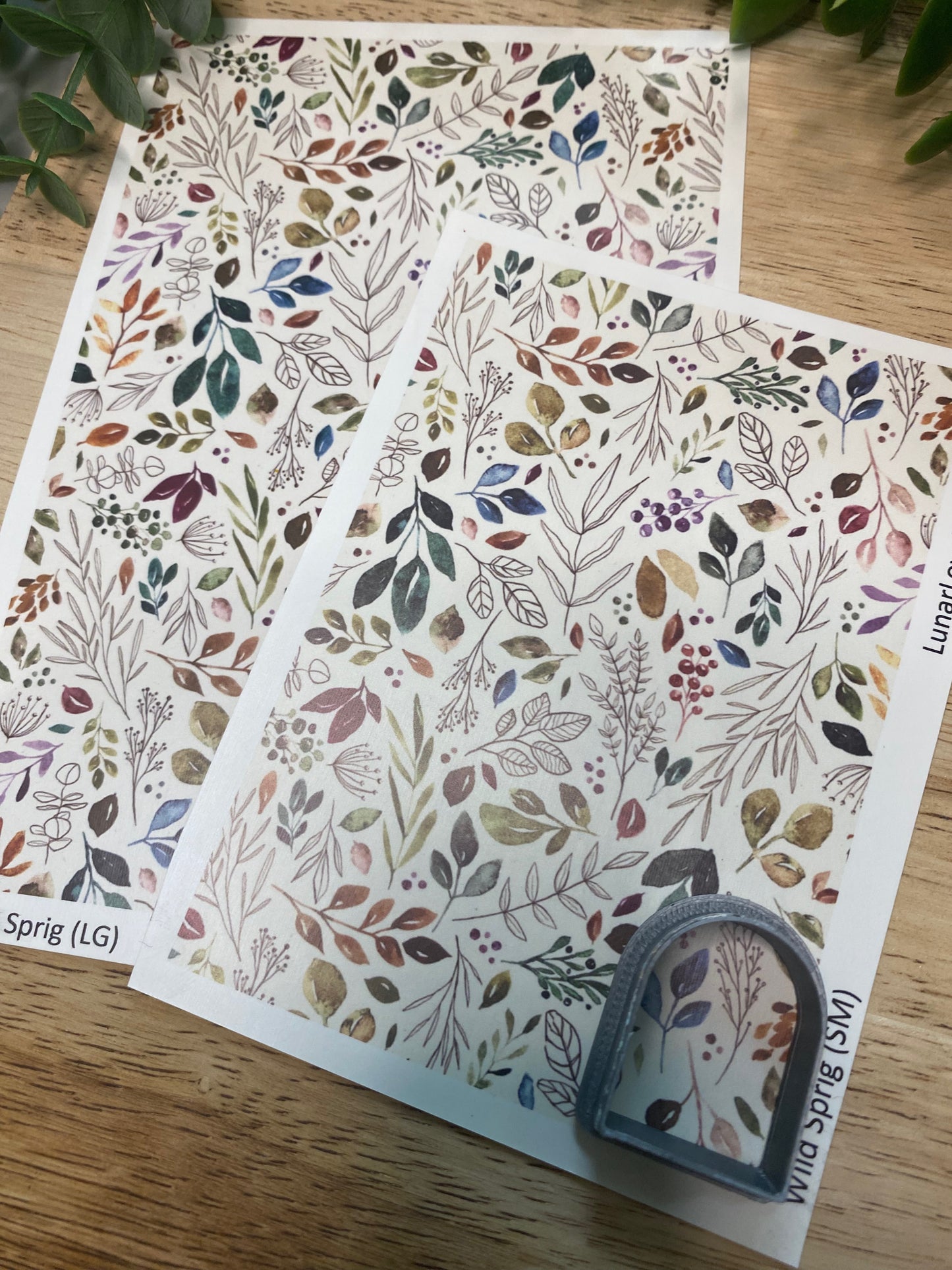 Wild Sprig - Clay Tattoo Sheet