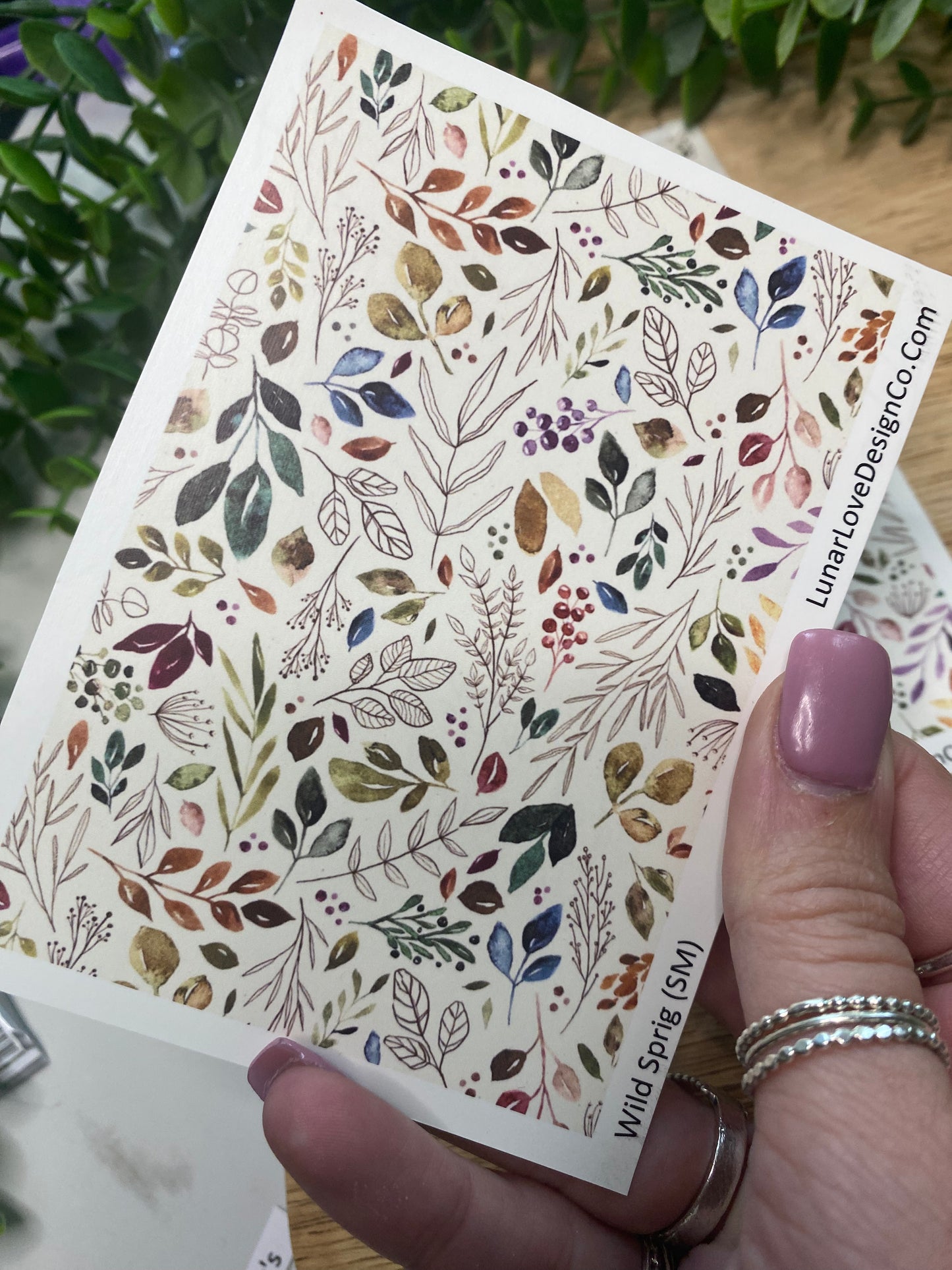 Wild Sprig - Clay Tattoo Sheet